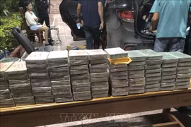 赃物包括疑似海洛因的100块毒品以及许多其他相关赃物。图自越通社