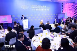 越南政府总理范明政与世界经济论坛大型集团对话。图自越通社