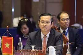 教育培训副部长阮文福率团与会。图自越通社
