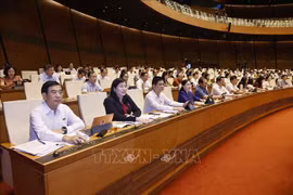 与会代表。图自越通社