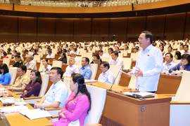 国会代表在会上发表讲话。（图片来源：越通社）