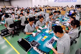附图。（图片来源于网络）