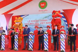 平阳省第二家年产量1万吨奶酪生产厂落成典礼（图片来源：越通社）