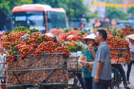 附图（图片来源：越通社）