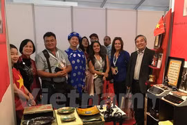 出席2017年智利北方国际矿业展览会的越南代表团。（图片来源：越通社）