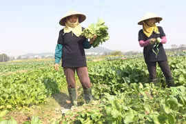 附图