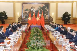 越南国家主席陈大光与中共中央总书记、中国国家主席习近平举行会谈。（图片来源：越通社）