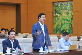 胡志明市市委书记丁罗升。