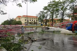 越南中部遭受台风袭击造成严重损失。（图片来源：越通社） 