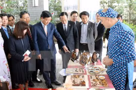 胡志明市市委书记丁罗升出席2017年大阪胡志明市文化日活动。（图片来源：越通社）