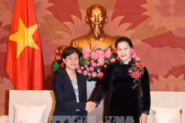  越南国会主席阮氏金银会见新加坡驻越大使凯瑟琳