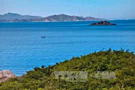 附图。