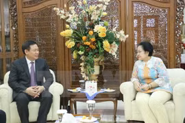 越南政府副总理王廷惠7月20日拜访印尼斗争民主党党主席梅加瓦蒂。