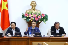 武德儋副总理在会议上发表讲话（图片来源：越通社）