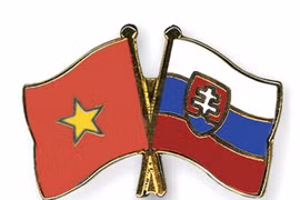 附图：越南和斯洛伐克国旗。（图片来源：因特网）