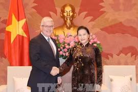 越南国会主席阮氏金银会见澳大利亚驻越大使克雷格•奇蒂克
