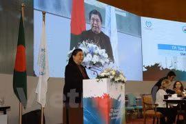 越南国会副主席丛氏放在讨论会上发言。