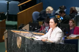越南常驻联合国代表团团长阮芳娥
