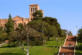美国加州大学洛杉矶分校。