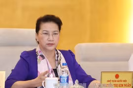 国会主席阮氏金银在会议上发表讲话。