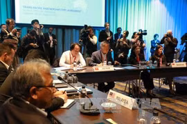 《跨太平洋伙伴关系协议》（TPP）谈判11国代表共同参加在澳大利亚悉尼市举行的高官会议。（图片来源：越通社）