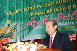 越南政府常务副总理张在会议上发表讲话（图片来源：​baochinhphu.vn）