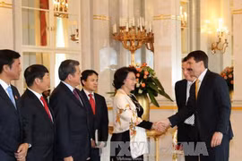 越南国会主席阮氏金银会见匈牙利总统阿戴尔•亚诺什。（图片来源：越通社）