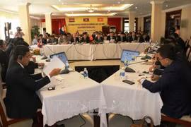 柬老越发展三角区副部长级会议在越南平福省拉开序幕