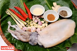 越南美食：香茅辣椒烤鱿鱼
