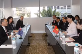 越南国会主席阮氏金银会见澳大利亚企业代表