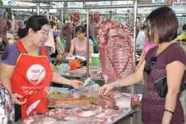 附图（图片来源：越通社）