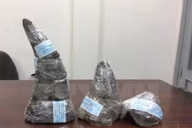 赃物（图片来源：越通社）