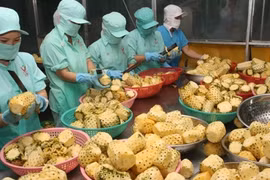 附图（图片来源：因特网）