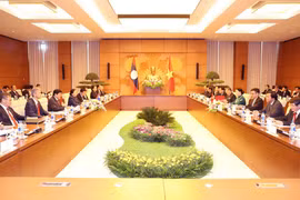 国会主席阮氏金银与老挝国会主席巴妮·雅陶都举行会谈。（图片来源：越通社）