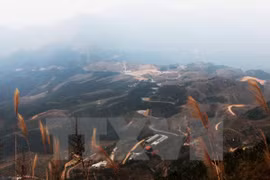 母山旅游景区