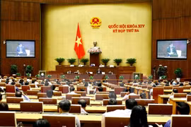 会议全景。
