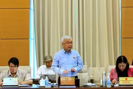 国会文化、教育、青少年儿童委员会主任发表意见。