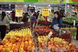 附图（图片来源：越通社）