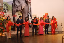  “西原大象”展亮相首都河内