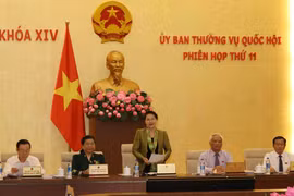 越南国会主席阮氏金银在会上发表讲话。（图片来源：越通社）