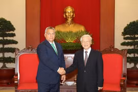 越共中央总书记阮富仲（右）会见匈牙利总理维克多•奥尔班。（图片来源：越通社）