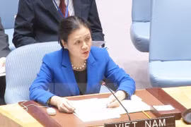 越南承诺努力实现联合国可持续发展目标