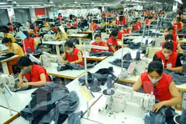 附图。（图片来源：越通社）