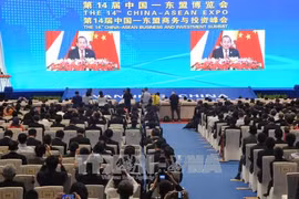 越南政府副总理张在博览会开幕式上发表讲话。（图片来源：越通社）