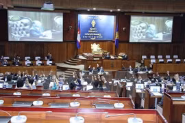 柬埔寨国家选举委员会进行分配反对党救国党的国会席位