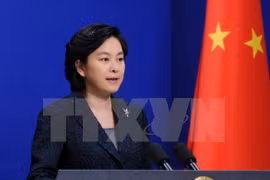 中国外交部发言人华春莹：中国将尽快向越南提供所需援助物资