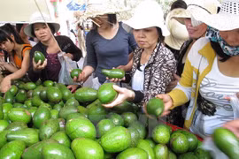 附图（图片来源：因特网）