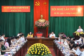 会议全景。