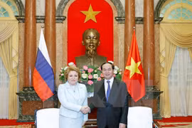 越南国家主席陈大光会见俄联邦委员会主席马特维延科。（图片来源：越通社）