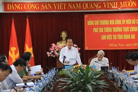越南政府副总理张和平在会议上发表讲话